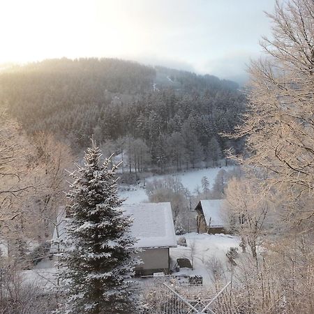 Haus Vor Den Eichen Fuer Familien Villa Willingen  Dış mekan fotoğraf