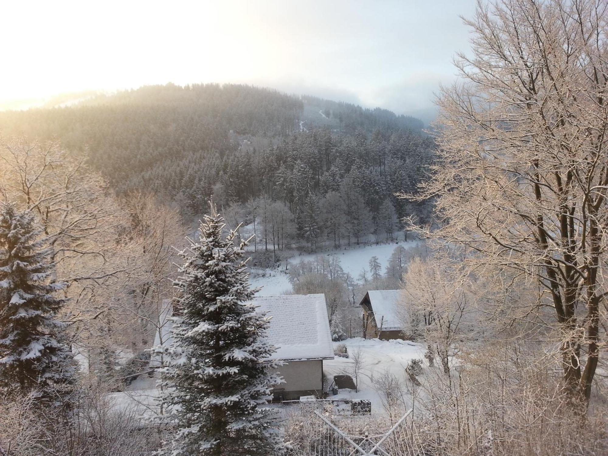 Haus Vor Den Eichen Fuer Familien Villa Willingen  Dış mekan fotoğraf